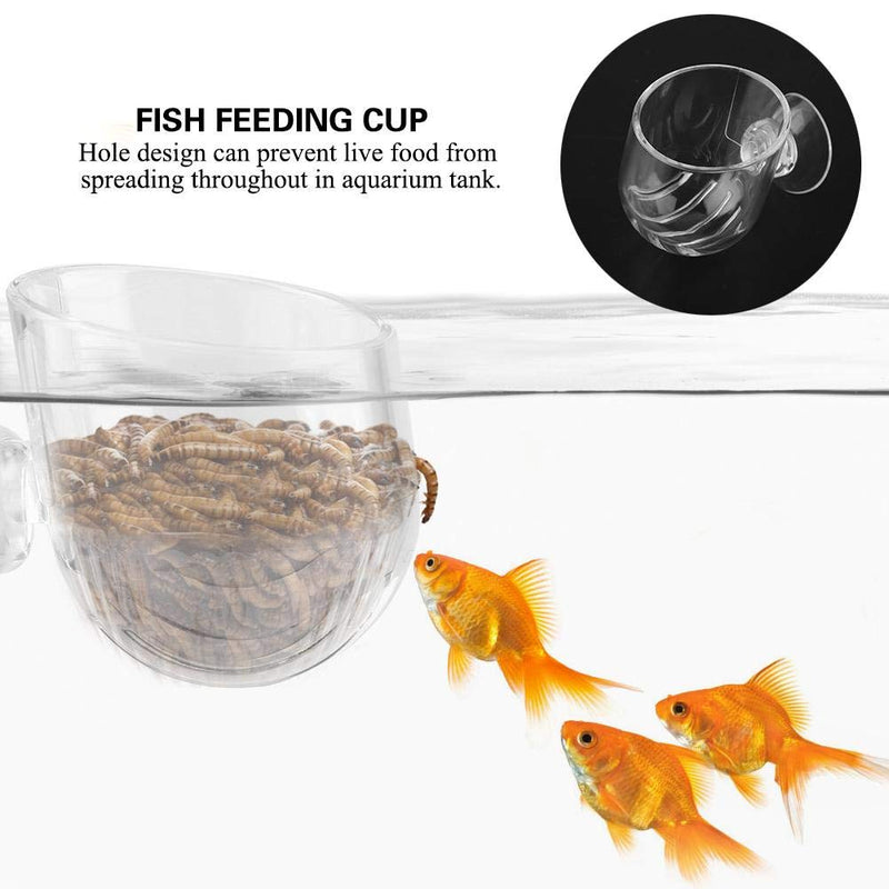 Aquarium Worms Feeder Live Red Worm Feeding Cone Cup Transparent Acrylic Fish Tank Brine Shrimp Feeder Crystal Glass Plant Feeding Container Holder with Suction Cups - BeesActive Australia