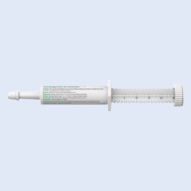 PetAg Zoologic Bene-Bac Plus Palatable Mammal Gel - With FOS for Pets Under Adverse Conditions - 30 g Syringe - BeesActive Australia