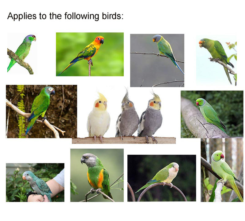 VANFAVORI Adjustable Bird Harness with 80 Inch Leash, Outdoor Flying Kit Training Rope for Birds Parrots Cockatiel S Green - BeesActive Australia