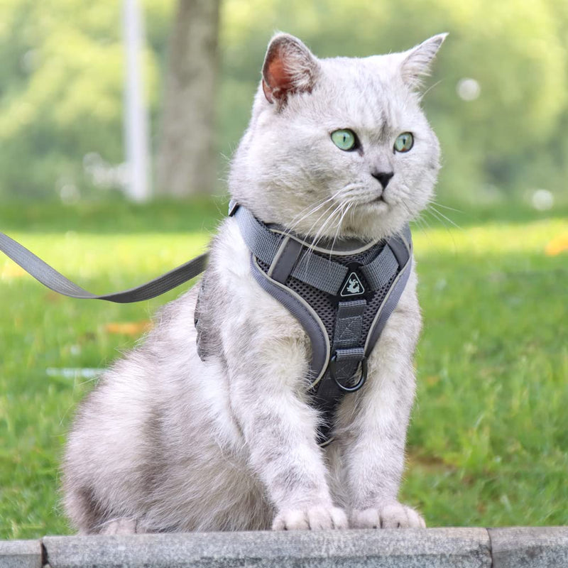 Cat Harness and Leash Set for Escape Proof Reflective Cat Vest Harness with Strips Adjustable Soft Mesh Vest for Kitten Puppy XL Green - BeesActive Australia