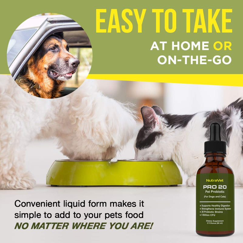 Probiotics for Dogs and Cat Probiotics -- 120 Servings (1/2ml). 100% Natural Digestive Enzymes for Gas Relief and Healthy Digestion. Prebiotics via Liquid Vitamins for Constipation & Leaky Gut - BeesActive Australia