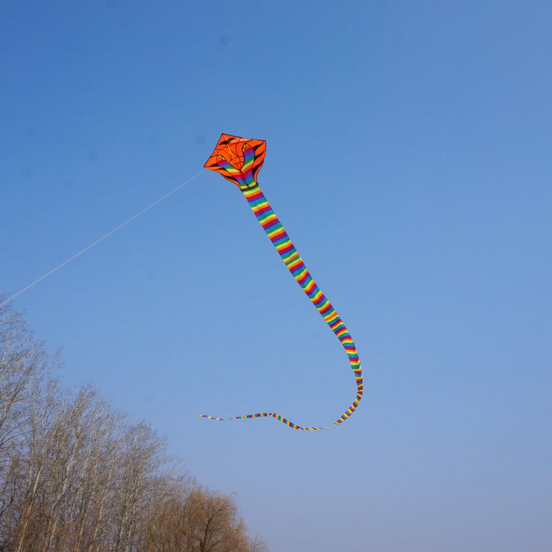 [AUSTRALIA] - Besra 16m Large Cobra Snake Kite 52ft Colorful Rattlesnake Kite with 15m Long Tails Outdoor Fun Sports with Flying Tools Rainbow 