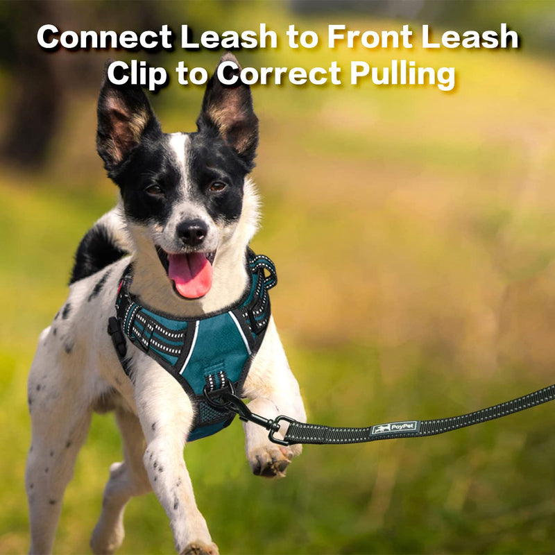 PoyPet No Pull Dog Harness, No Choke Front Clip Reflective Dog Vest with Padded Vertical Handle, 3 Leash Attachments for Small Medium Large Dogs Tumalo Teal - BeesActive Australia
