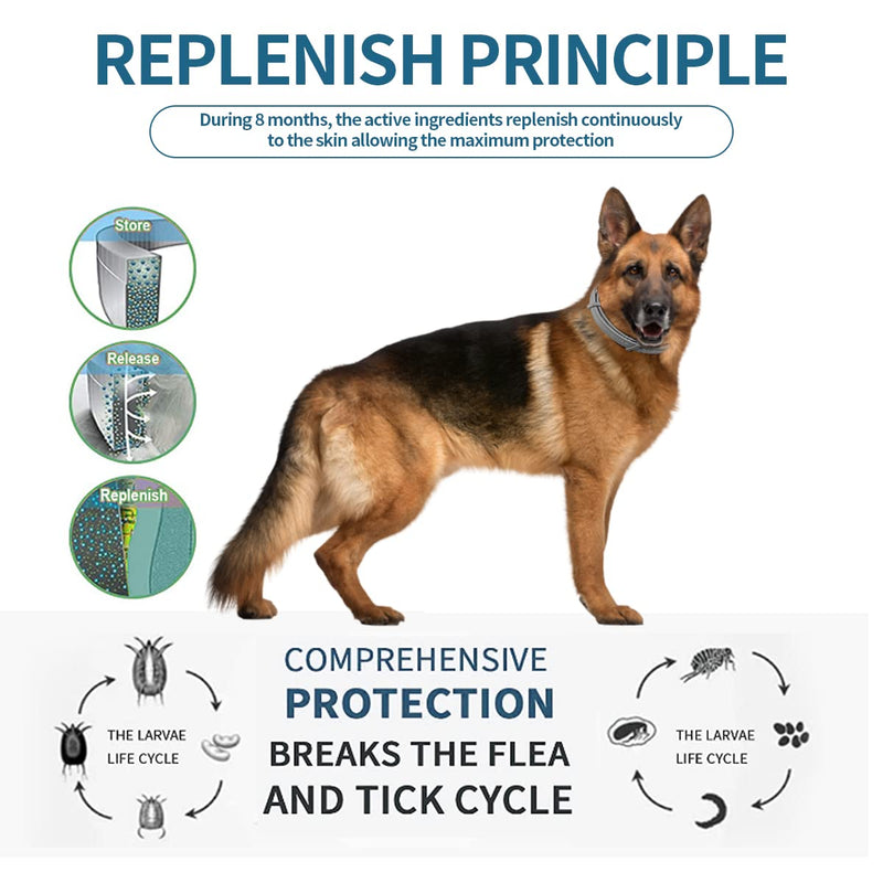 Advanllent Flea Collar for Dogs, 8 Month Flea and Tick Prevention, 27 inch Adjustable, 2 Count - BeesActive Australia