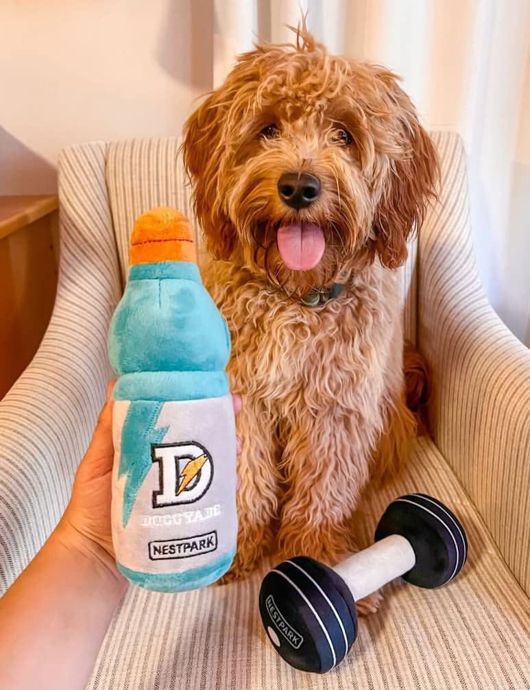 Fitness Funny Dog Toys - Doggyade and Doggy Dumbell Workout Parody Cute Dog Toys - 2 Pack Workout Pack - BeesActive Australia