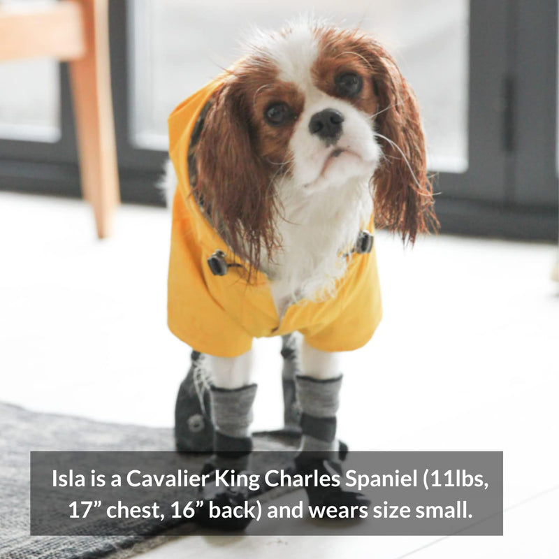 DJANGO Highland Dog Jacket and Raincoat - Water-Repellent, Windproof, and Harness-Friendly Winter Dog Coat and Stylish Dog Raincoat with Adjustable Drawstrings, Optional Hood, Premium Gunmetal Hardware, and Back Pocket Medium Dandelion Yellow - BeesActive Australia