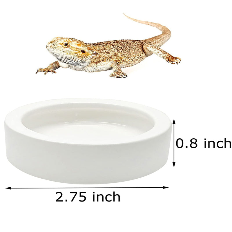 iHomeSet 3 Pcs Reptile Food Bowl with Feeding Tongs, Ceramic Water Feeder Bowl for Lizard Anoles Bearded Dragons Crested Gecko Hermit Crabs Triangular, White, 2.7 inch - BeesActive Australia