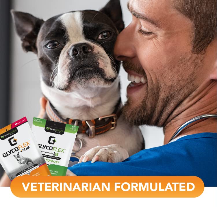 VetriScience Glycoflex 2 Hip and Joint Supplement for Working and Active Dog Breeds, Chicken, 120 Chews - Joint and Mobility Support for Competitive and Maturing Dogs - BeesActive Australia