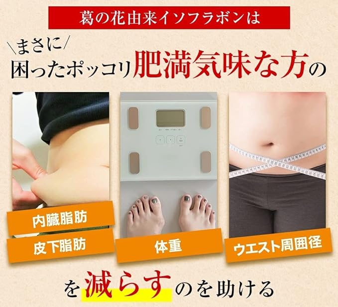 DUEN Abdominal Fat Health, Tummy Fat, Visceral Fat and Subcutaneous Fat Supplement, Functional Claimed Food, Isoflavone Derived from Katsusha - BeesActive Australia