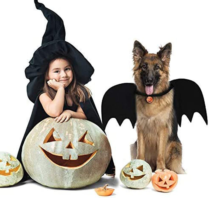Halloween Dog Costume Pet Bat Wings, Funny Costumes for Medium Large Dogs, Puppy Cosplay Apparel with Dog Leash and Pumpkin Bells, Adjustable Bat Wing for Party Outfit Clothes Black L：Under 85 pounds - BeesActive Australia