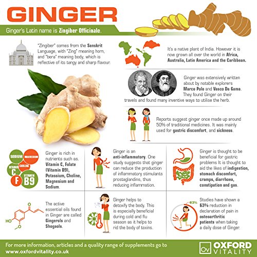 Ginger Tablets | 3200mg Root Extract Supplements for Digestive Health | by Oxford Vitality 120 Count (Pack of 1) - BeesActive Australia