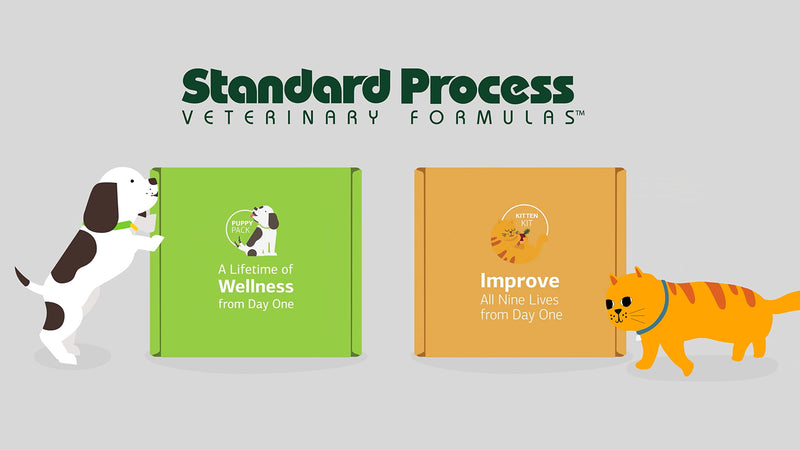 Standard Process - Puppy Pack - New Pet Supplement Kit Includes Canine Whole Body Support and Canine Immune System Support - BeesActive Australia