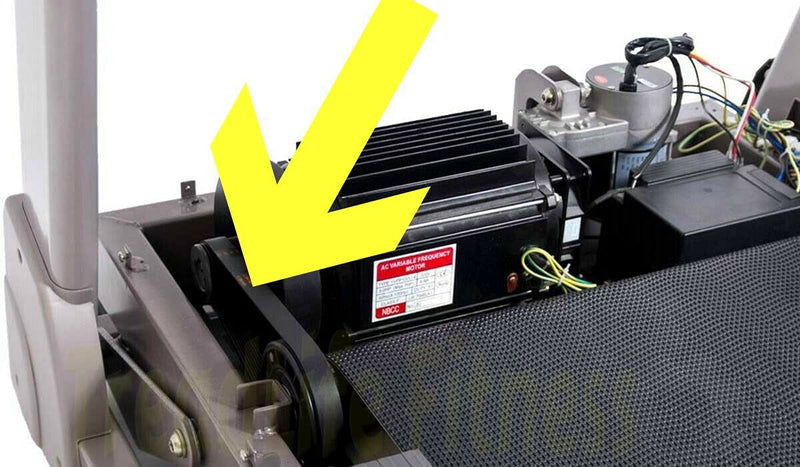 Treadmill Drive Belt - Compatible with NordicTrack APEX 4100 - NTTL18996 - Part Number: 326186 - Comes with Free Treadmill Lube!! - BeesActive Australia