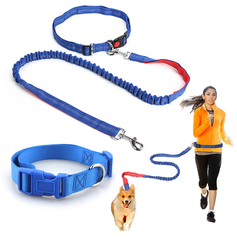 Hands Free Running/Walking/Training Dog Leash of 4 feet, Reflective Stitching Safety Proof Locking Buckle Waist Belt of 50.4 Inch/128 cm, Comes with a Bonus Dog Collar. Medium Leash (Blue/Red) + Collar (red) - BeesActive Australia