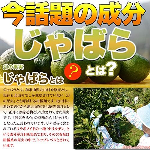 Tennen Seikatsu Mega Assortment Supplement (Supplement) Approximately 4 months worth (Jabara, 1 bag) - BeesActive Australia