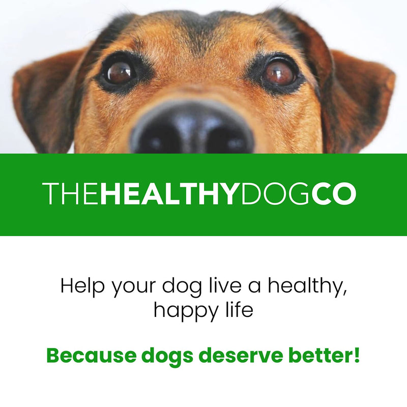 The Healthy Dog Co - Dog Shampoo for Itchy Skin - Dog Shampoo Sensitive Skin - Natural Itch Relief for Dogs - Dog Itchy Skin Treatment - Itchy Skin Relief for Dog - Anti Itch Dog Shampoo - 16oz - BeesActive Australia