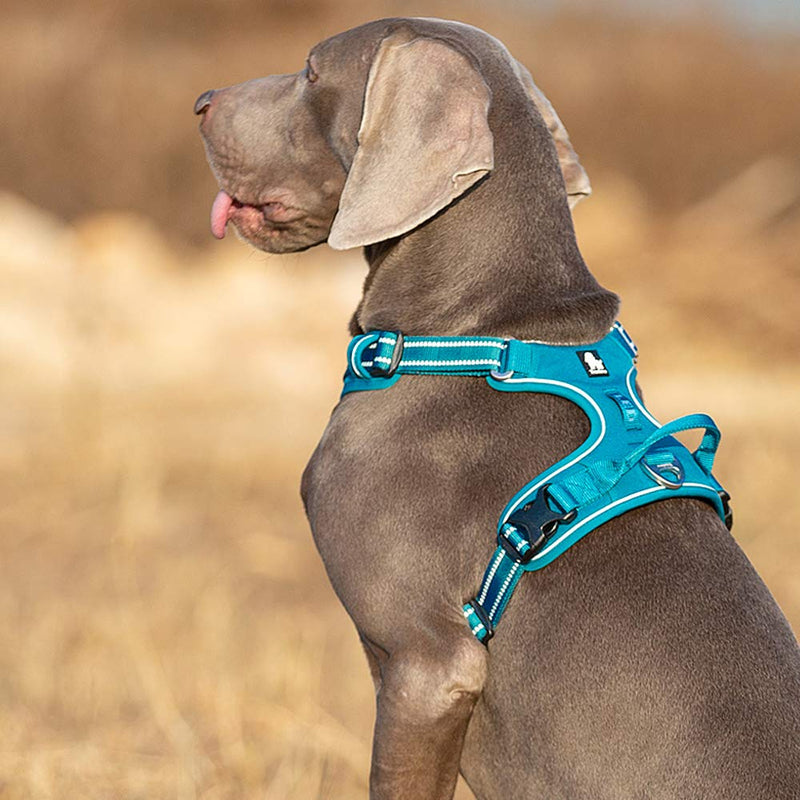 TRUE LOVE Dog Harness No Pull Nylon Reflective Pet Harness Adjustable Comfortable Control Step-in Brilliant Colors Truelove TLH56512 XS Blue - BeesActive Australia