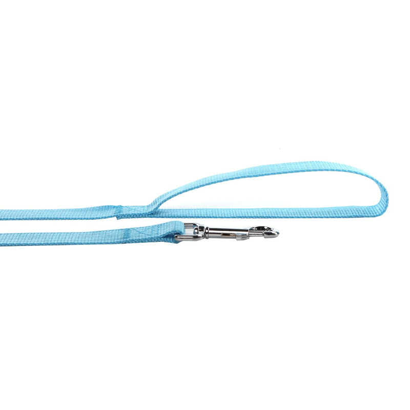 Durable Nylon Dog Leash 4 Ft 5 Feet 6 Foot Long, Walking Training Dog Leashes for Medium Large Dogs, 1 Inch Wide 1" X 6 ft Blue - BeesActive Australia