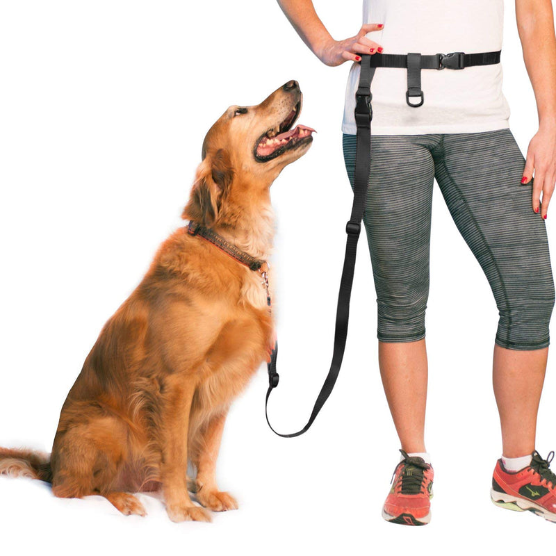 The Buddy System Hands Free Dog Leash Adjustable Leash for Running, Jogging, Training and Service Dogs (Regular, Black) and Buddy Bag Waist Belt Bag with Magnetic Closure for Pet Training, Running - BeesActive Australia