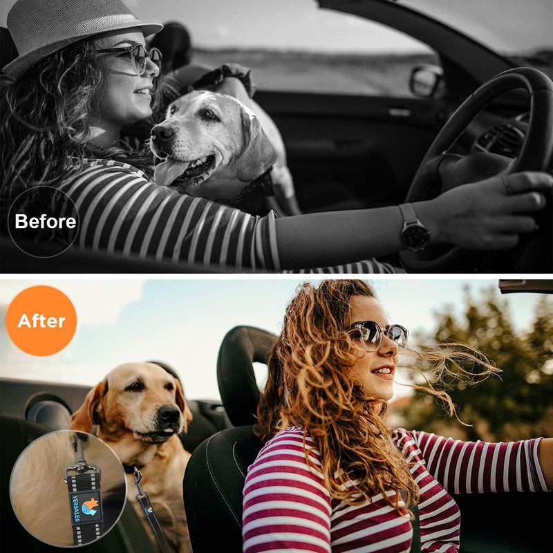 VERSALES Dog Seatbelt, Dog Seat Belt, Adjustable Dog Car Seat Belt Harness for Dogs, Reflective Dog Seatbelt Tether for Travel Use Black(2 Pack) - BeesActive Australia