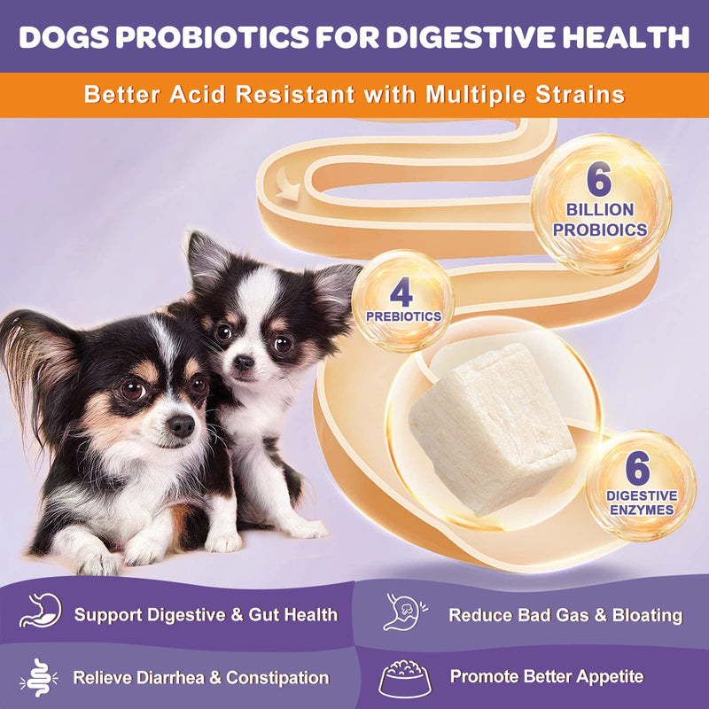 Probiotics for Dogs, 6 Billion CFUs, Freeze Dried Dog Probiotics with Prebiotics and Digestive Enzymes, Vitamins and Omega 3, for Gut & Skin & Immune Health, Allergy Itch Relief, Reduce Diarrhea, Gas - BeesActive Australia
