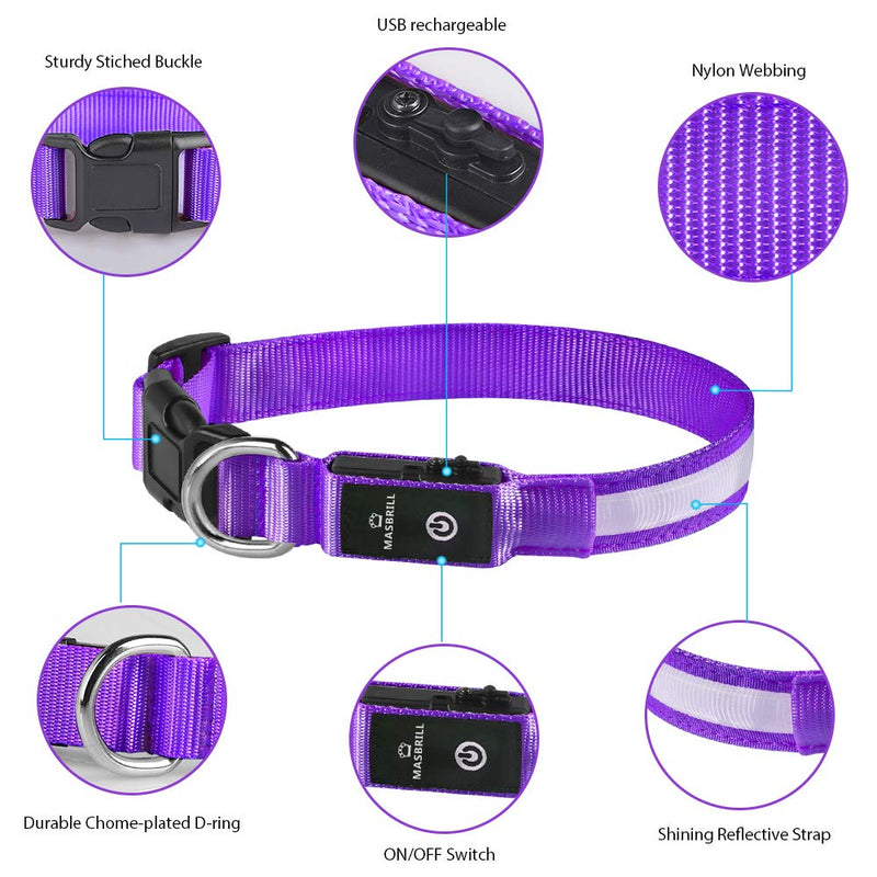 MASBRILL Light Up Dog Collar, LED Glow Collar with USB Rechargeable Lighted Bright Purple Dog Flashing Collar Waterproof, 4 Colors with 3 Sizes for Small Medium Large Dogs M(0.98*19.69") - BeesActive Australia