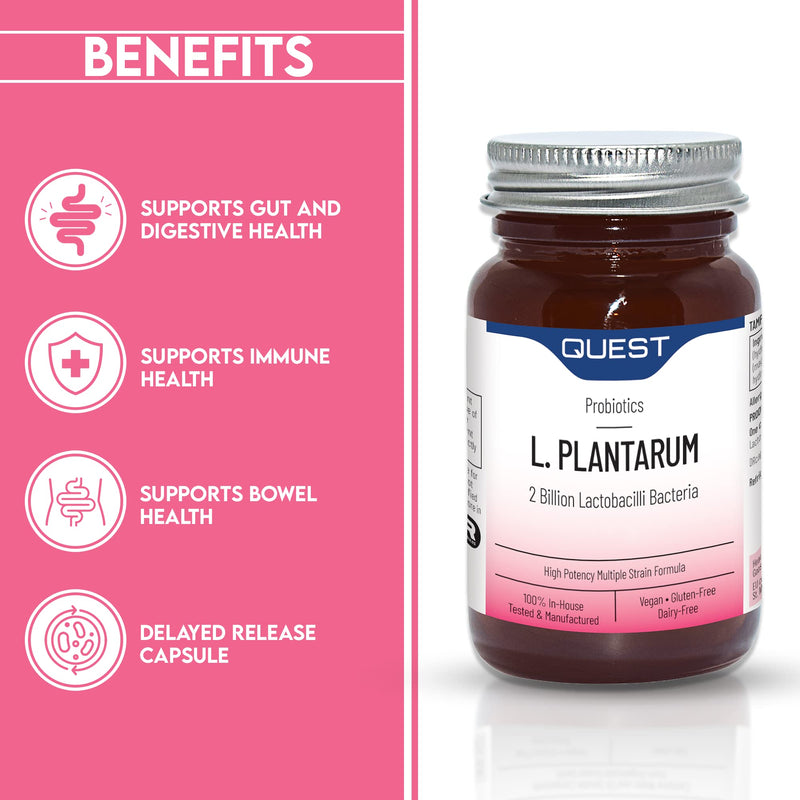 Quest L Plantarum Probiotic Capsules 2 Billion CFU For Immune & Digestive Support. Helps Restore Gut Friendly Bacteria & Regulate Immune Responses. Vegan & Gluten Free (90 Capsules) 90 Count (Pack of 1) - BeesActive Australia