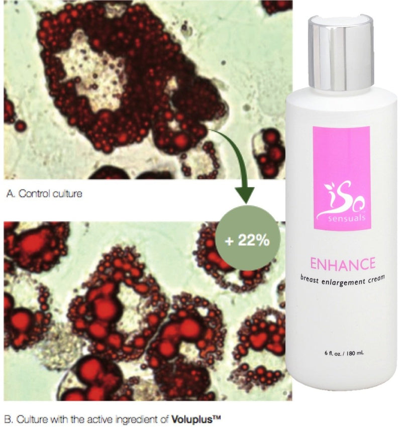 IsoSensuals Enhance Breast Enlargement Cream - 1 Bottle (2 Month Supply) 6 Fl Oz (Pack of 1) - BeesActive Australia
