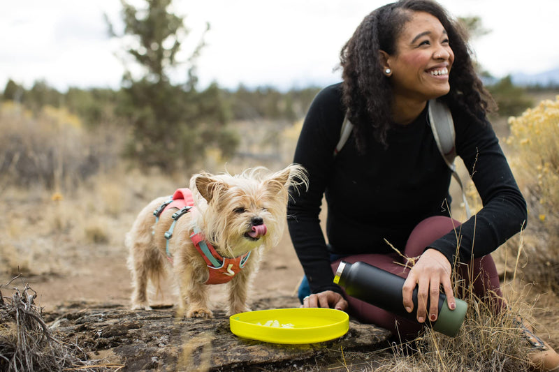 Ruffwear, Camp Flyer Dog Toy, Lightweight and Flexible Disc for Throw and Fetch Red Sumac - BeesActive Australia