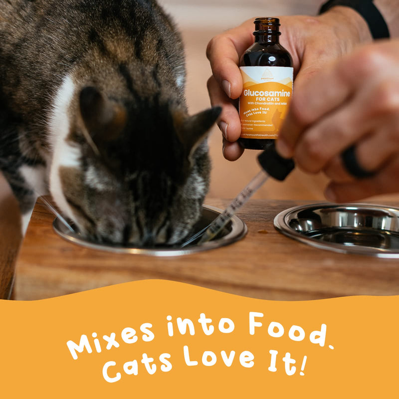 Paramount Pet Health Cat Glucosamine and Omega 3 Fish Oil Bundle - BeesActive Australia
