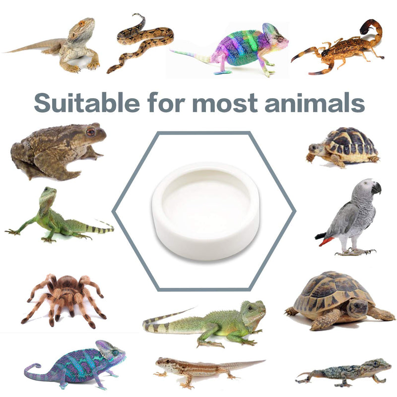 4 Pack Worm Dish Reptile Food Bowl, Ceramics Made, Lizard, Gecko Food Dish(2.7inch) 2.7inch - BeesActive Australia