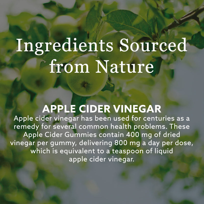 New Nordic Apple Cider Vinegar Gummies 60 Pack - with The Mother - Sugar Free Vegan Supplement Vitamins - Suitable for Men and Women - Dairy and Gluten Free - BeesActive Australia