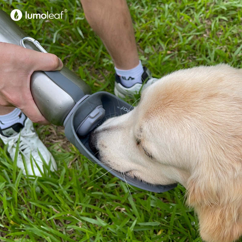 LumoLeaf Portable Dog Water Bottle 27 OZ, Stainless Steel Pet Travel Water Bottle Dispenser for Walking, Hiking and Outdoor, Portable Water Bowl for Large Dogs Grey - BeesActive Australia
