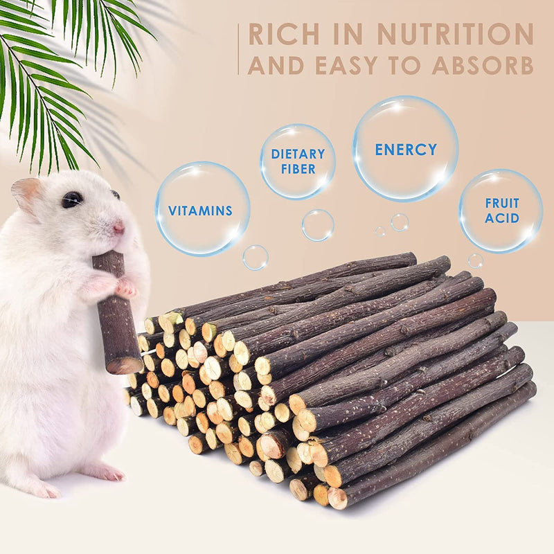 XLpeixin 200g Apple Sticks Small Animals Chew Toys,Small Animals Molar Wood Treats Toys for Rabbits Chinchillas Guinea Pig Hamster Gerbil Bunny，Uniform Thickness and Size thin200g - BeesActive Australia