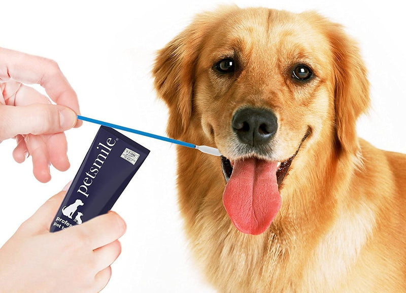 Petsmile Professional Pet Toothpaste Applicator Swabs | Easily and Effectively Spreads Dog Toothpaste to Promote Oral Hygiene | Dental Care for Pets | VOHC Approved Brand - BeesActive Australia