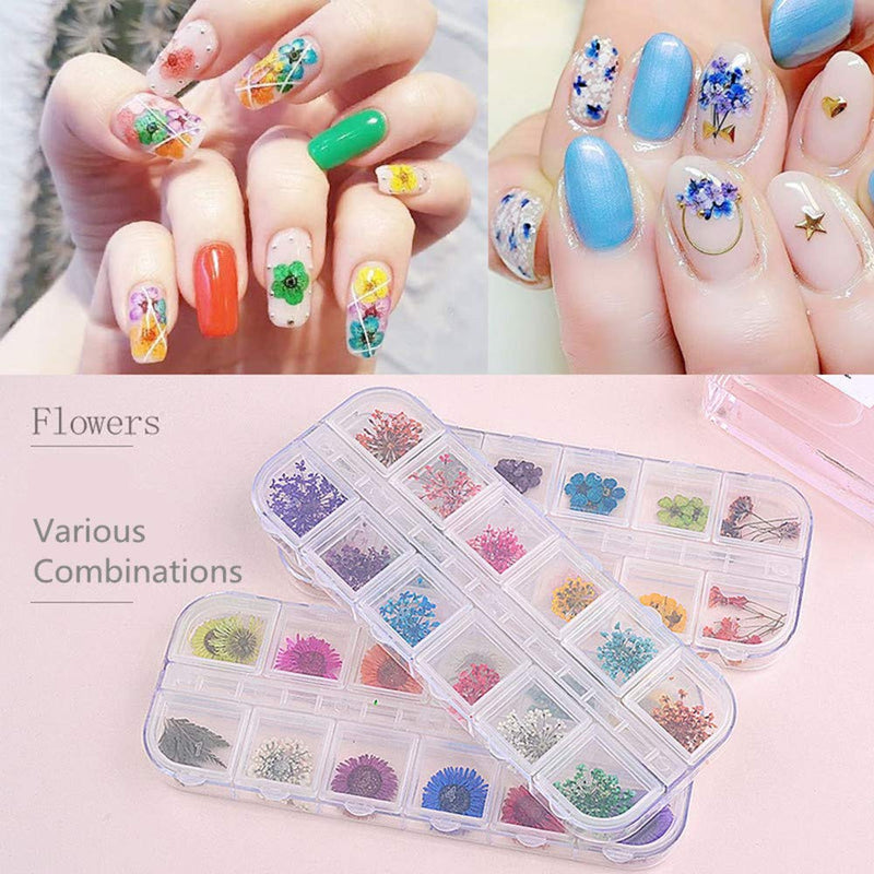 KINIFE 12 Shaped Nail Art Dried Flower Decoration Nail Art Design DIY Nail Art Stickers and Decals Decoration - BeesActive Australia