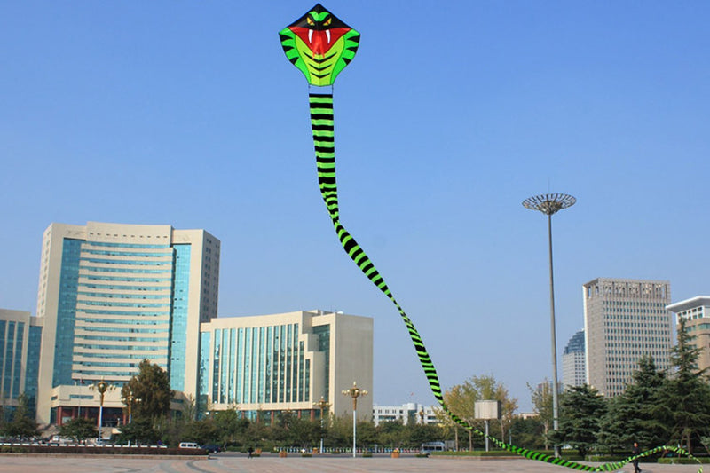 [AUSTRALIA] - Hengda kite 15m Large Power Snake Kites with Flying Line Outdoor Fun Sports Kite Cobra 