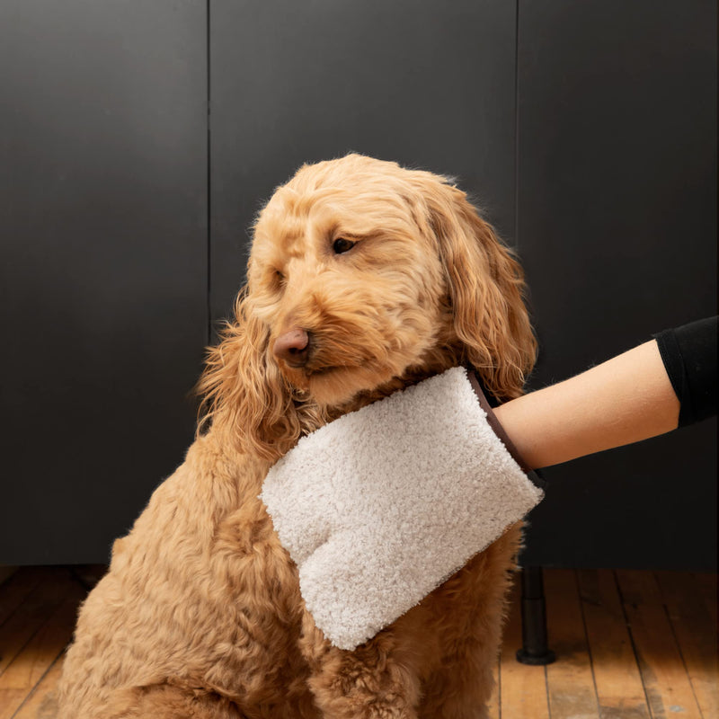 E-Cloth Pet Grooming & Massage Mitt, Microfiber Cleaning with Just Water - BeesActive Australia