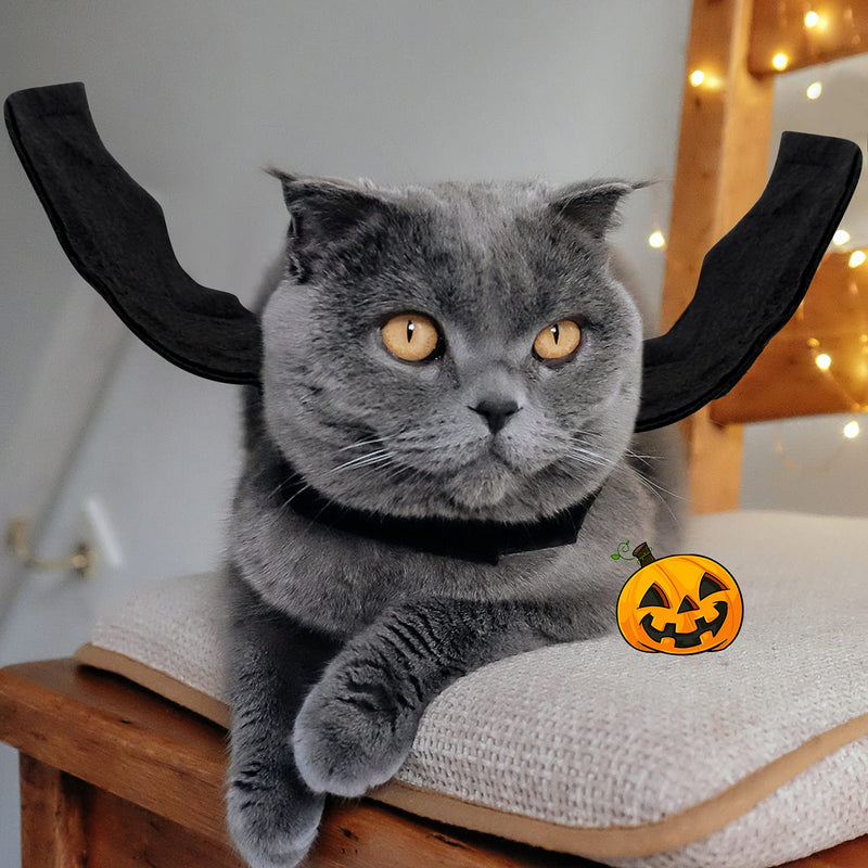 RYPET Dragon Cat Costume - Personalized Pet Costumes for Small Dogs Cats Halloween Party Bat Wings - BeesActive Australia
