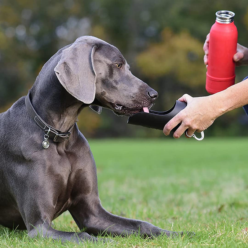 KONG H2O Insulated Dog Water Bottle & Travel Bowl, 25 oz Red - BeesActive Australia