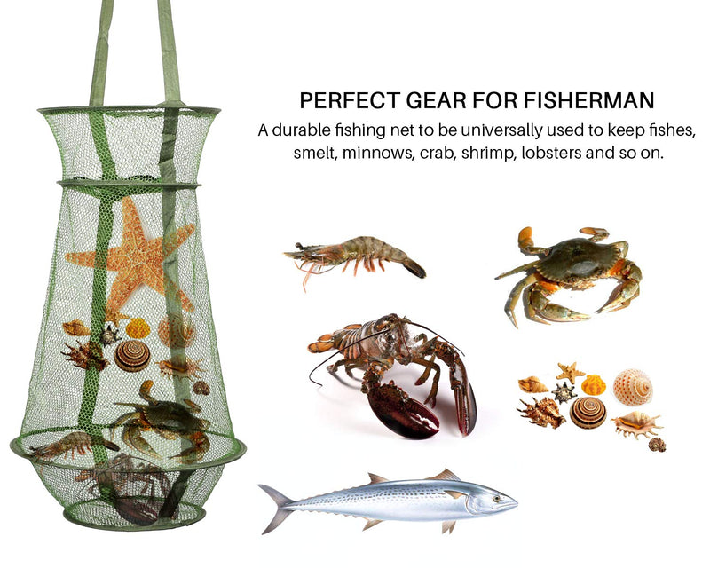 mouhike Fishing Net Mesh Fish Trap Collapsible Fish Cage/Fishing Keep Net/Fishing Basket for Keeping Lures Crayfish Crab Fishes Smelt Minnows Shrimps Lobsters, Foldable Fishing Mesh Trap - BeesActive Australia