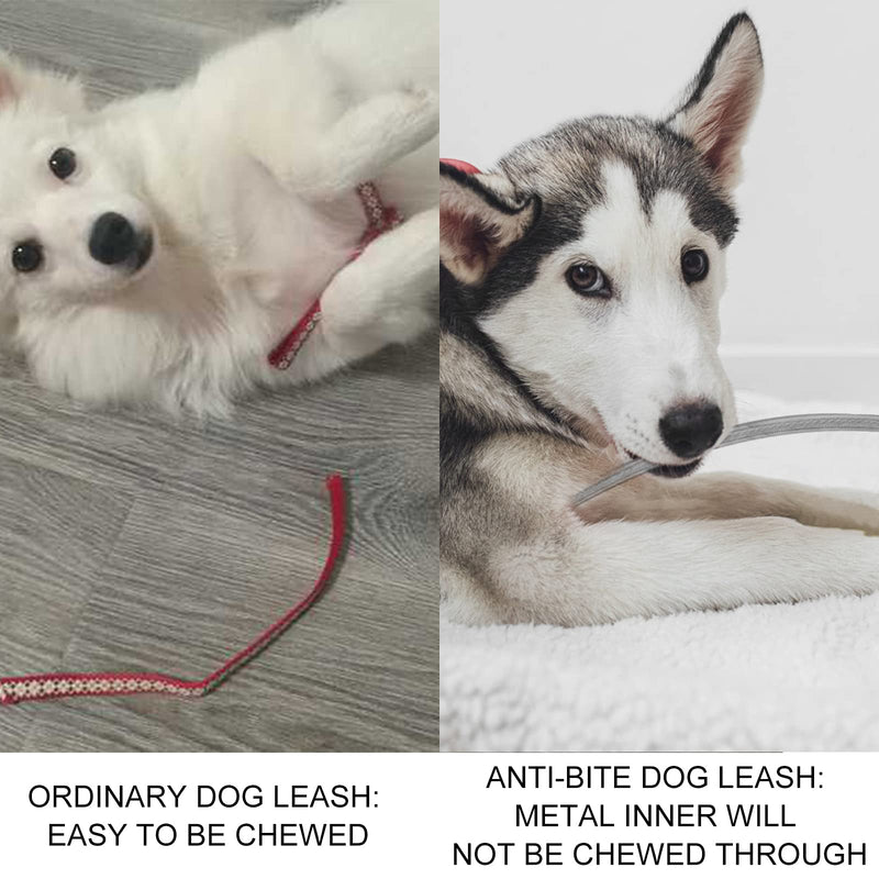 voopet Chew-Proof Dog Leash Extension Works with Any Leash & Collar & Harness - Super Strong and Durable Non-Tangle Connect Leash (Multiple leashes are Used for Multiple Dogs) For one dog Silver - BeesActive Australia