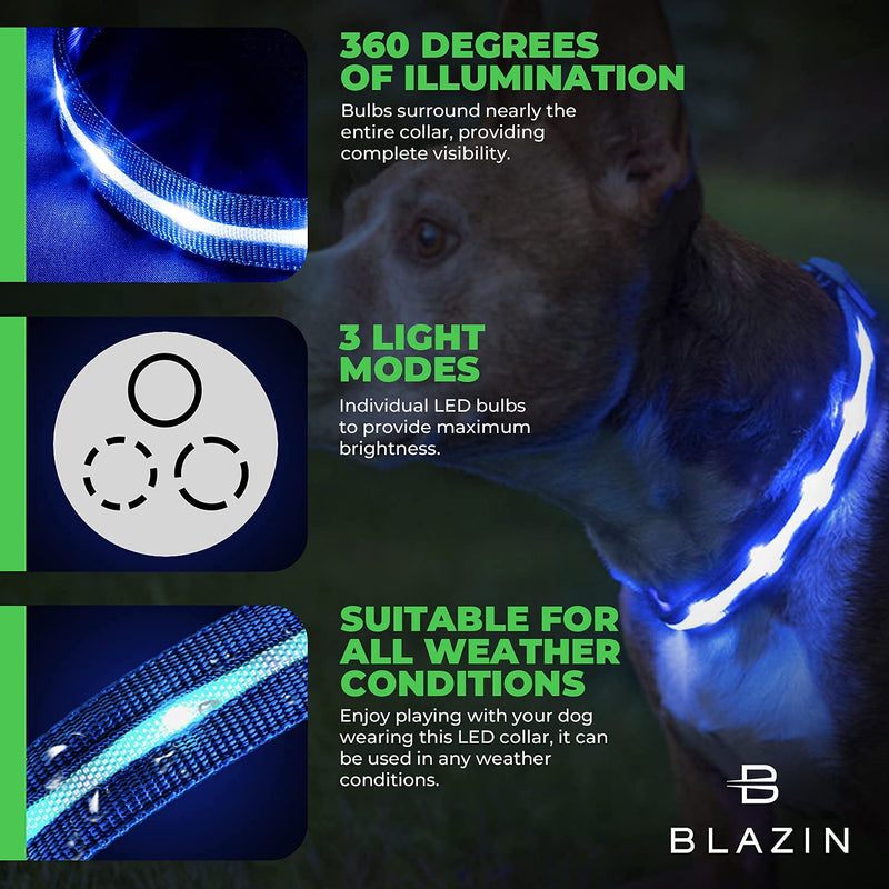 Blazin LED Light Up Dog Collar - 1,000 Feet of Visibility - Brightest for Night Safety - USB Rechargeable with Water Resistant Glowing Dog Collar Light Medium (Pack of 1) Pink - BeesActive Australia