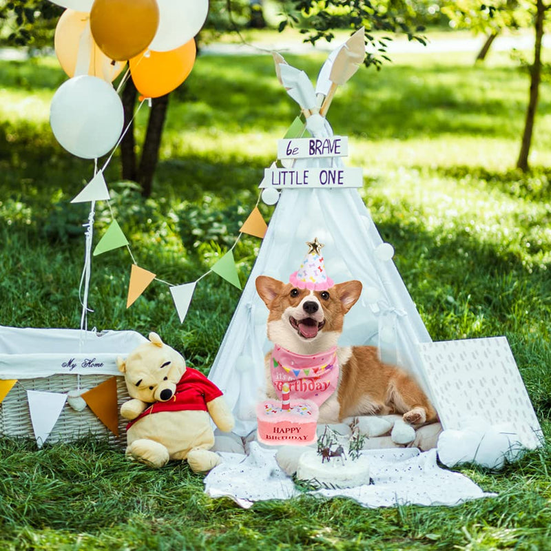 EXPAWLORER Dog Birthday Party Supplies - Cute Dog Birthday Hat, Birthday Bandana Scarf, Festive Birthday Cake Dog Squeaky Chew Toy, Dog Themed Birthday Party Supplies Gift Pink - BeesActive Australia
