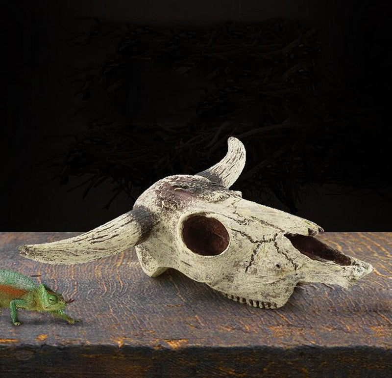 Leoyoubei Aquarium Decoration, Fish Tank Small Skull,Fish Turtle Hidden, Bonsai beautification. Cave Landscape Pet Reptile House Shrimps & Snails Love Them (Cattle Skull) - BeesActive Australia