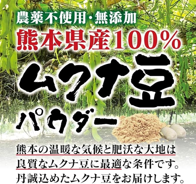 Mukuna Bean Powder (Yasho Bean Powder), 3.2 oz (90 g), Additive-free, 100% Japanese Mukuna Beans, No Pesticides - BeesActive Australia