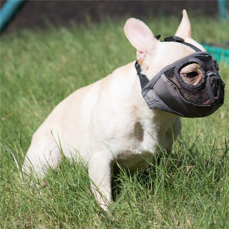JYHY Short Snout Dog Muzzles- Adjustable Breathable Mesh Bulldog Muzzle for Biting Chewing Licking Training Grooming Dog Mask Medium/11"-17" Grey(Eyehole) - BeesActive Australia