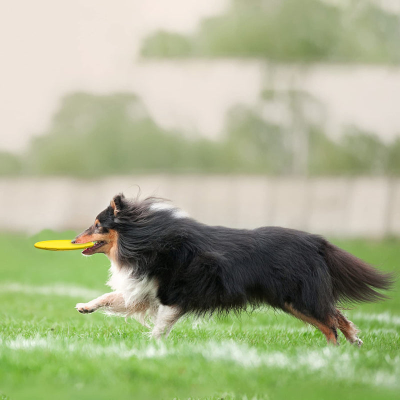 YEAHDORIMI Natural Rubber Flying Disc Dog Toy，Suitable for Playing Outdoors, on The Beach, in The Courtyard Yellow - BeesActive Australia