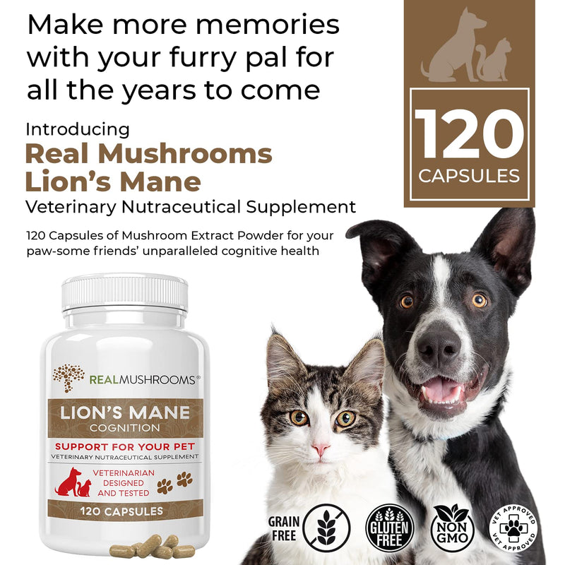 Real Mushrooms 5 Defenders for Pets (90ct) and Lions Mane for Pets (120ct) - Bundle for Immune Strength & Cognition - Vegan, Non-GMO, Gluten-Free, Grain-Free Mushroom Pet Supplements - BeesActive Australia