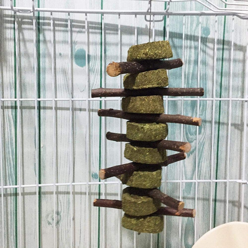 PeSandy Bunny Chew Toys for Teeth, Organic Apple Wood Molar Sticks with Timothy Hay Circles for Bunny Chinchilla Guinea Pig Hamsters Holland Lop Prairie Dogs Squirrels, Improves Dental Health 2 PCS Apple Stick String - BeesActive Australia